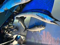 -陕西自然博物馆