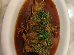 -椿记烧鹅(叠彩店)