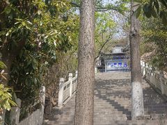 -石老人观光园