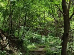 -云岫谷自然风景区