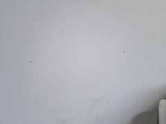 -傣妹火锅(南门大街店)