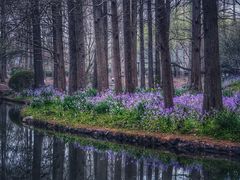 -上海共青森林公园