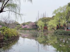 -无锡梅园公园
