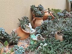-正佳雨林生态植物园