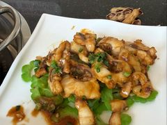脆肉鲩鱼腩-正能量脆肉鲩火锅