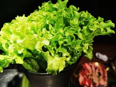 -九田家黑牛烤肉料理(新辰里亚运村店)