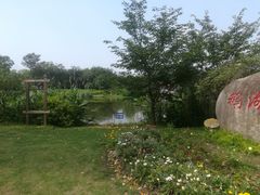 -鹅湖玫瑰文化园