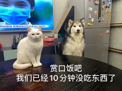 -巴黎贝甜(印象城店)