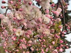 -羊亭河湿地公园