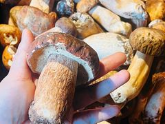 -菌山里·野生菌猪肚包鸡(阳光花园店)