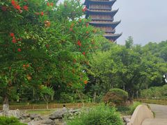 -常熟方塔园
