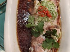 -齐家花园大酒店(宝山店)