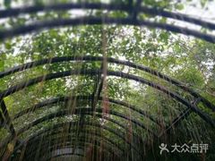 -亚龙湾国际玫瑰谷