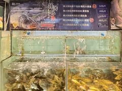 -贺庄·活鱼馆(珠吉路店)