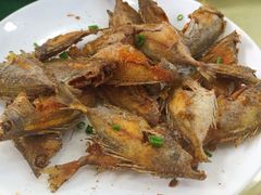 -锐记美食店·现捞海鲜(闸坡店)