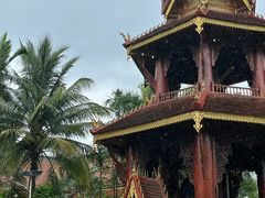 -西双版纳原始森林公园