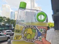 -野萃山·潮汕厚果汁(十亩地店)
