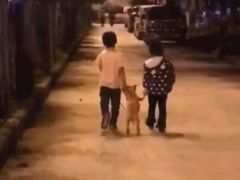 -成都失恋馆