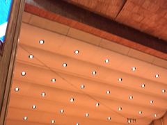 -北京大学百年讲堂