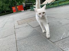 -北京鲁迅博物馆(北京新文化运动纪念馆鲁博馆区)