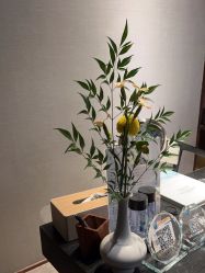 -美壹生皮肤管理中心
