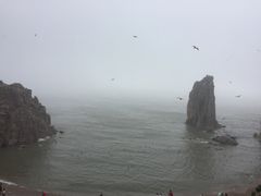 -海驴岛(荣成市)
