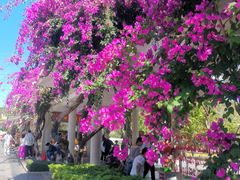 -三亚南山文化旅游区