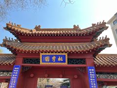 -桃花堤公园