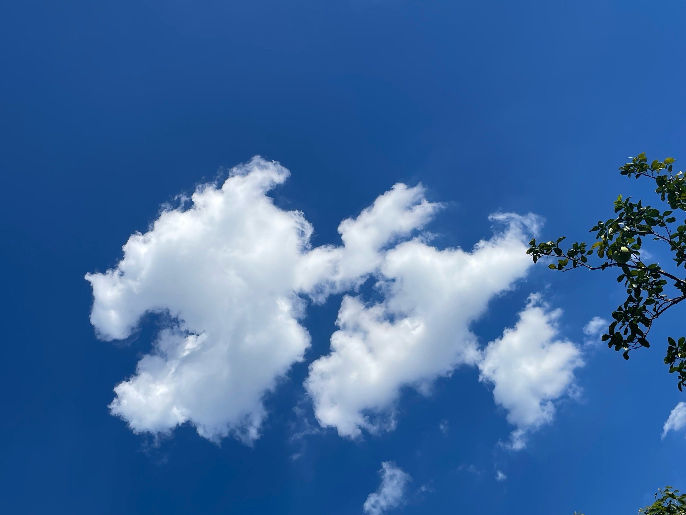 拿着云朵散步去