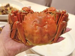 -群乐饭店(滨安路店)