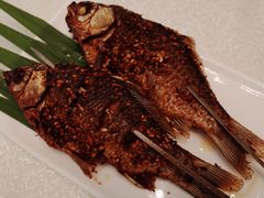 -云腾食府·云南菜