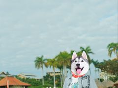 -三亚亚龙湾万豪度假酒店