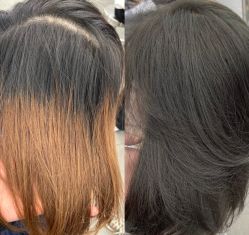 -IP SALON