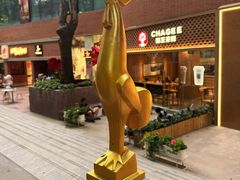 -西安电影制片厂