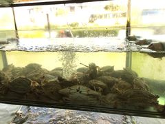 -合家小菜餐馆(新诚花苑店)