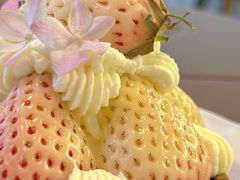 -花间烘焙BLossom Bakery