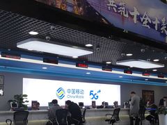 -中国移动(元通大厦营业厅)
