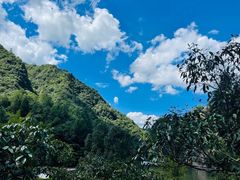 -龙湾潭国家森林公园