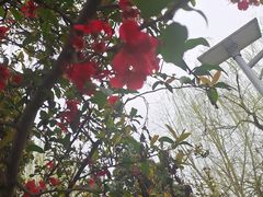 -两河城市森林公园