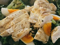 -Wagas沃歌斯(大学路店)