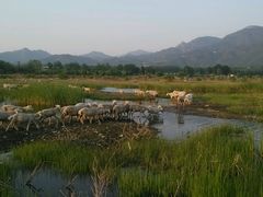 android_upload_pic-十三陵水库