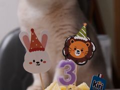 -DRUNK BAKER(上海陕康里店)