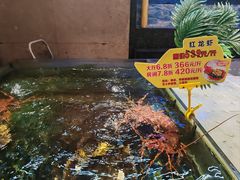 -雅盛品931海鲜酒家