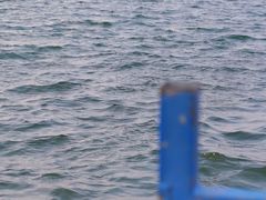 -丁香湖公园