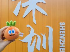 -大湾区中央湿地公园-十九涌