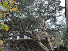-许家山