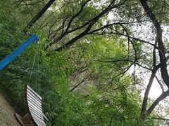 -黑龙江省森林植物园