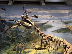 -自贡恐龙博物馆