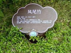 -大屏嶂森林公园