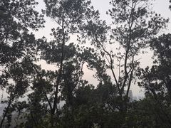 -华润置地大厦E座